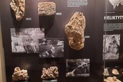 20221026_133106-Copy