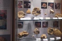 IMG_20221026_124418-Copy