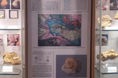 IMG_20221026_124424-Copy