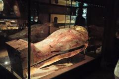 IMG_20230331_103820-Copy