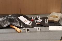 20240314_130642-Copy