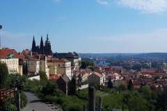 950ae2ac-f8c0-4bec-ace9-3600081901dc