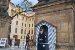 e3db4a3f-d80a-45ae-b05a-f1731b8bd4f9