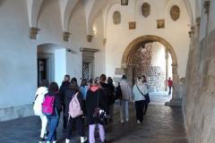 20221027_100123-Copy