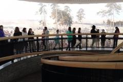 IMG_20220406_143511-Copy