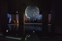 IMG_20220407_142522-Copy