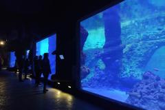 IMG_20220408_092445-Copy