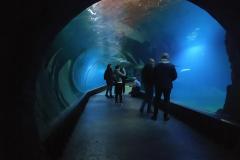 IMG_20220408_093530-Copy