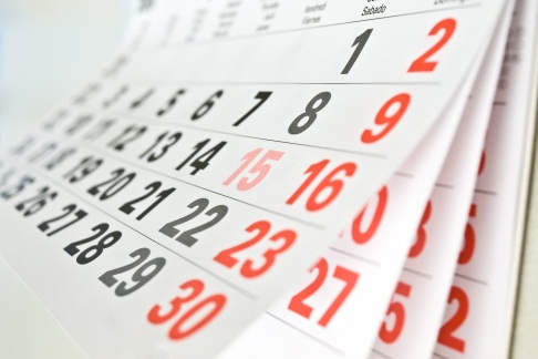 Godziny pracy sekretariatu szkoły i dyżur dyrektora w okresie wakacyjnym