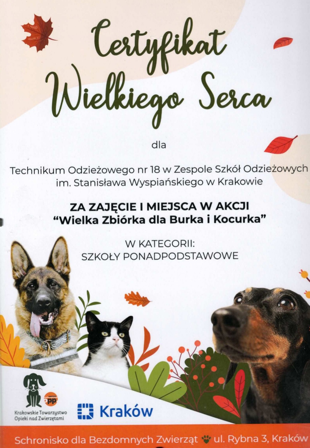 Wielka Zbiórka dla Burka i Kocurk – wyniki akcji