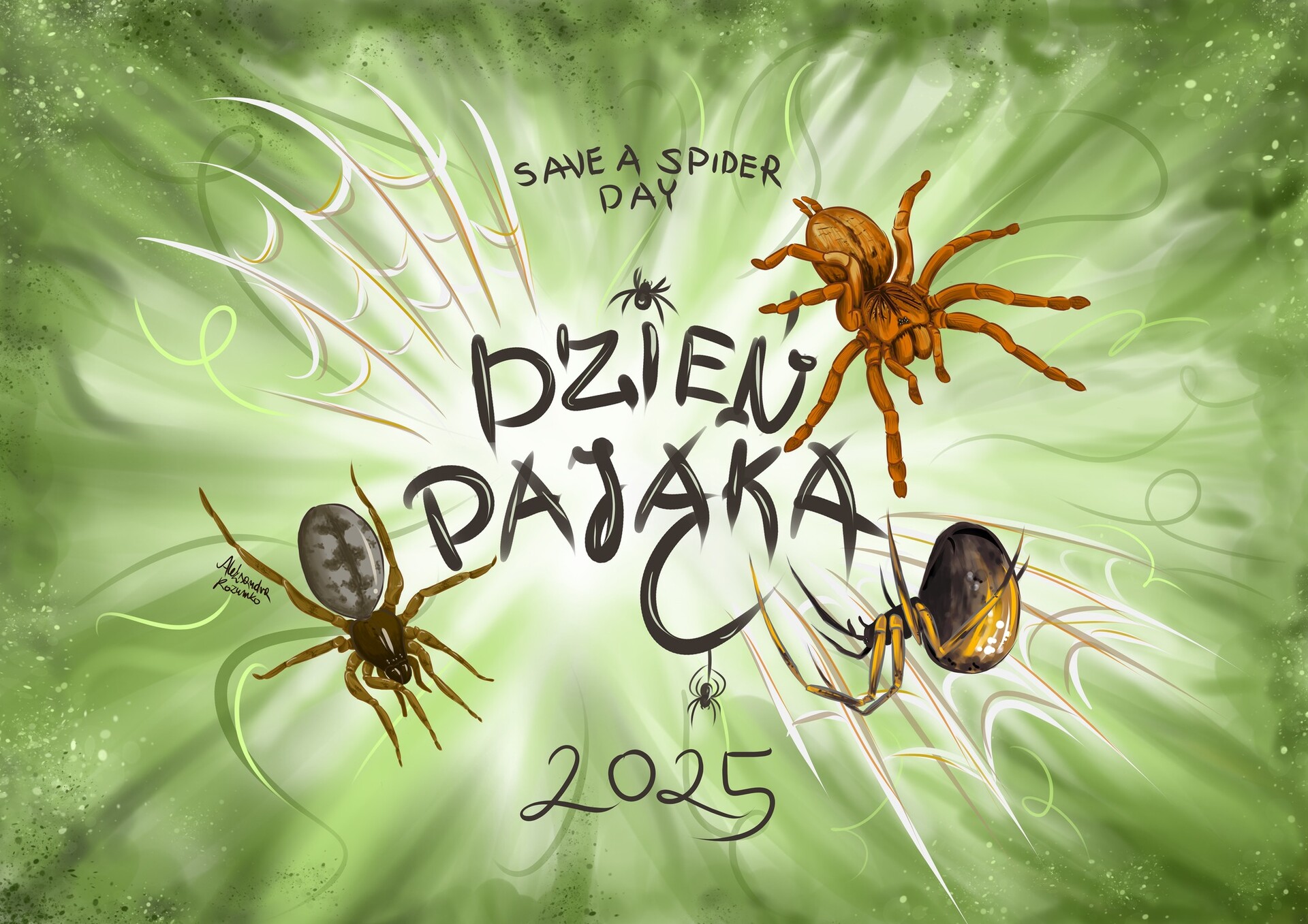 Dzień Pająka – konkurs